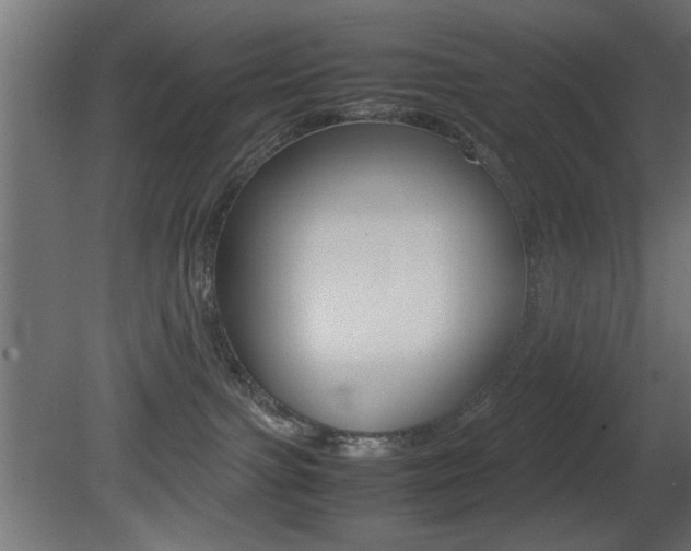 X0000081410091200701120929