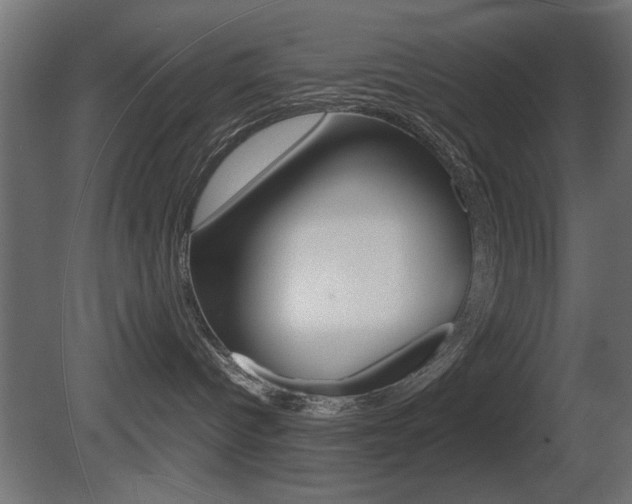 X0000081410096200701120929