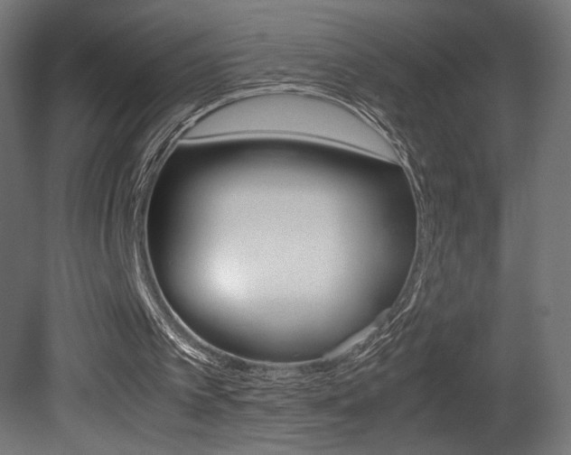 X0000081410097200701120929