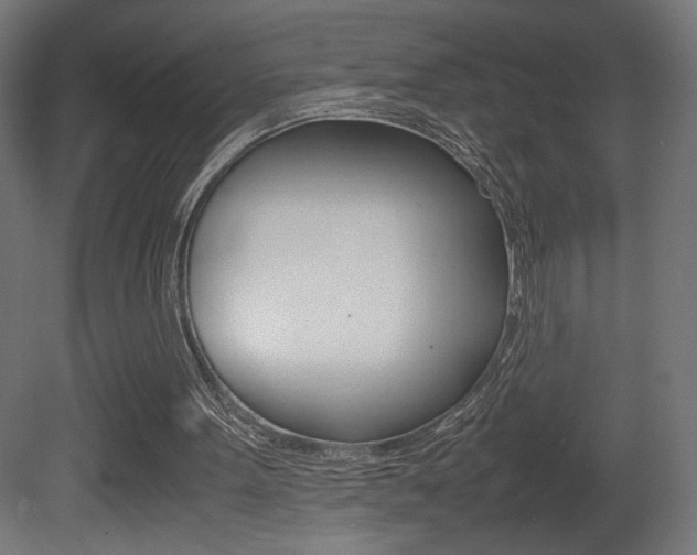 X0000081410099200701120928