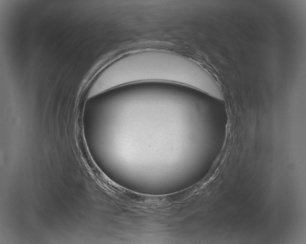 X0000081410101200701120928