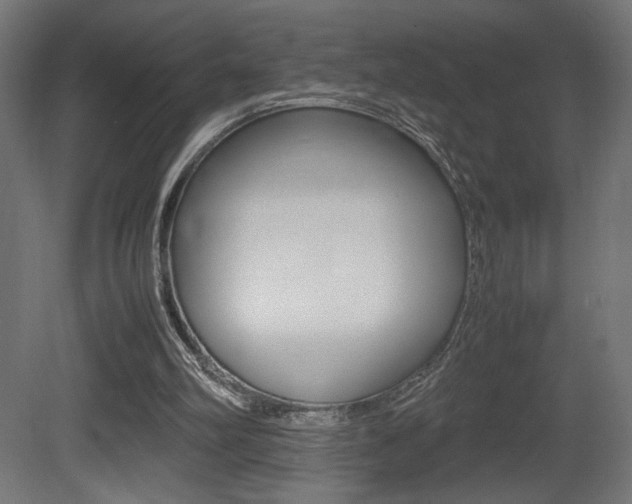 X0000081410102200701120928