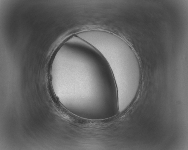 X0000081410103200701120928