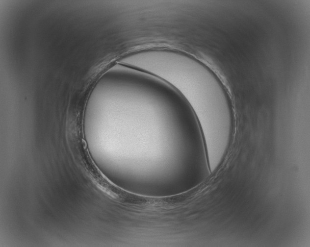 X0000081410105200701120928