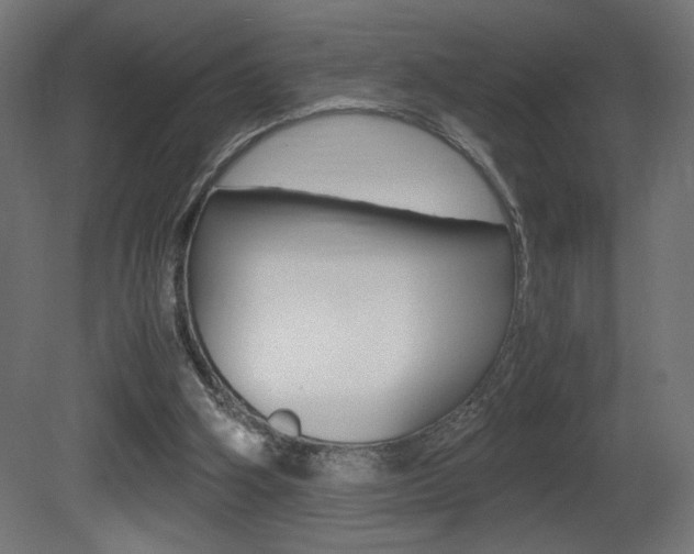X0000081410106200701120928