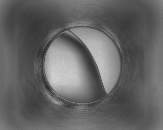 X0000081410107200701120928