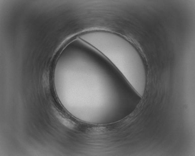 X0000081410108200701120928
