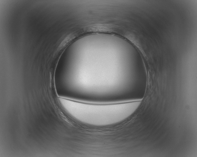 X0000081410109200701120928