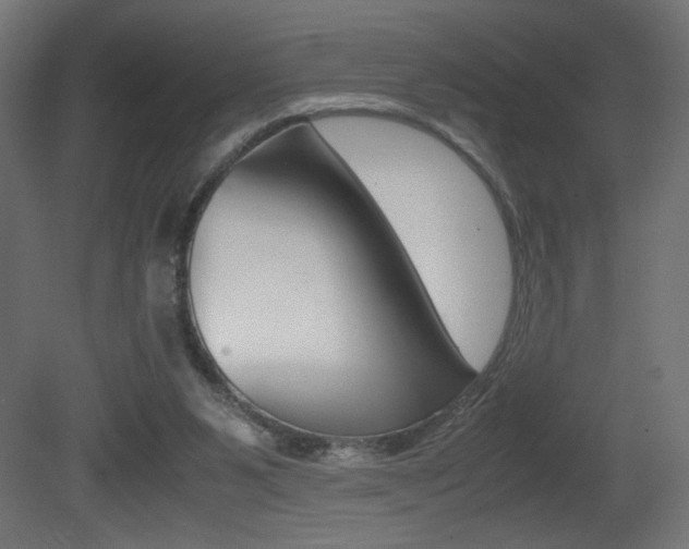 X0000081410111200701120928
