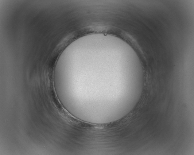 X0000081410114200701120928