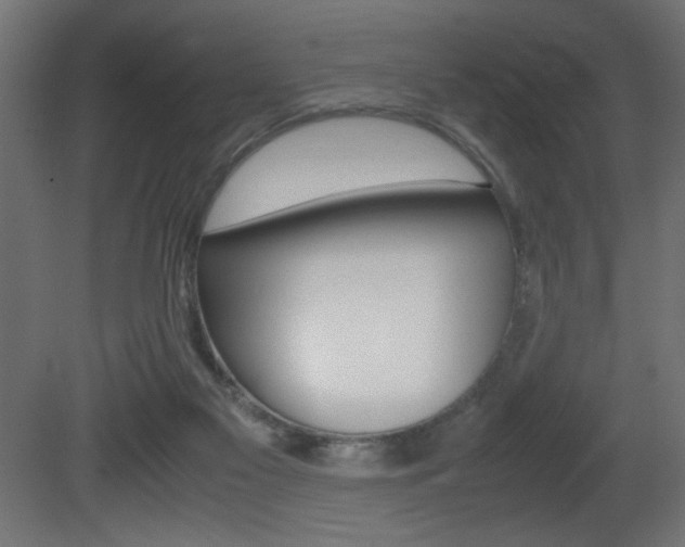 X0000081410117200701120928