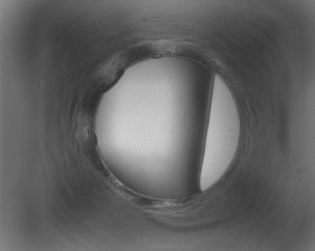X0000081410125200701120928
