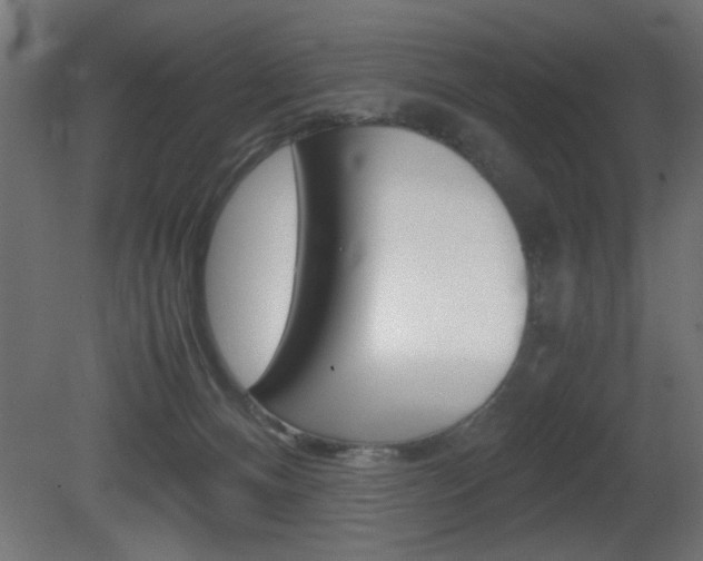 X0000081410128200701120928