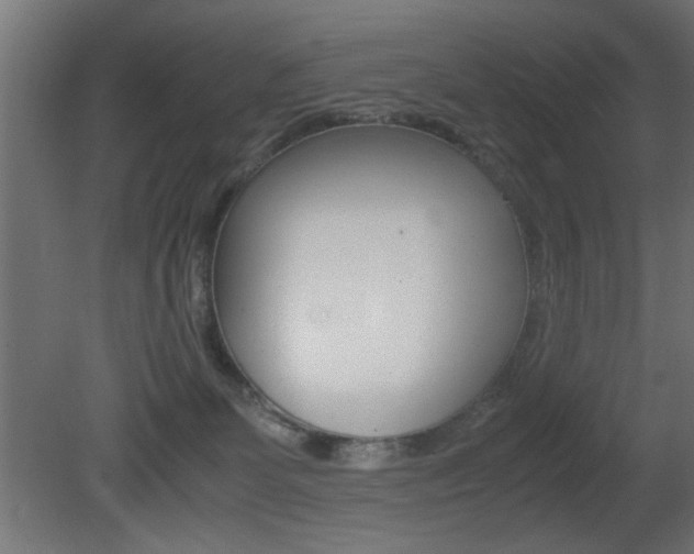 X0000081410131200701120928