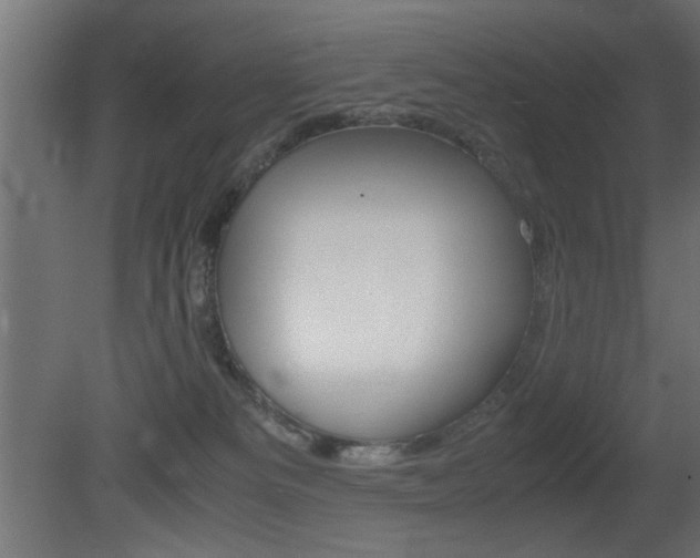 X0000081410133200701120928