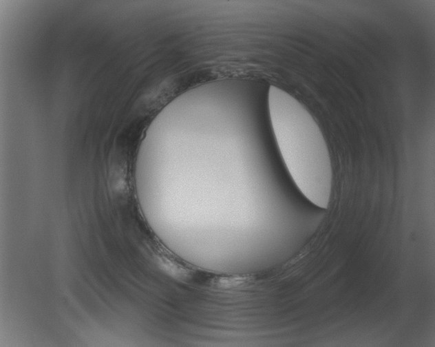 X0000081410134200701120928