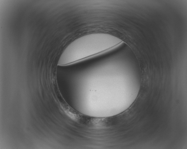 X0000081410136200701120928