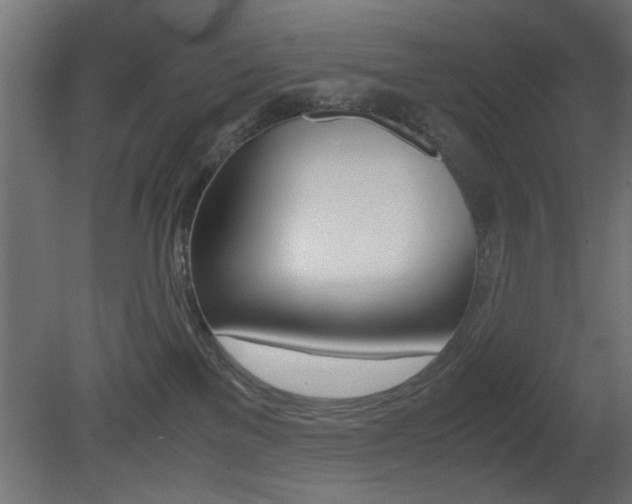 X0000081410137200701120928