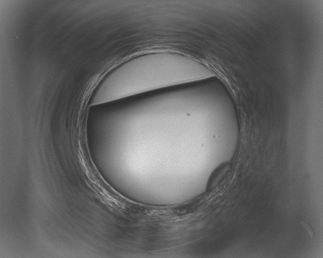 X0000081410145200701120927