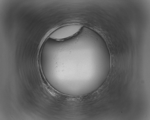 X0000081410147200701120927