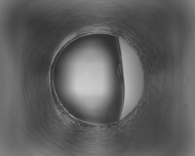 X0000081410148200701120927