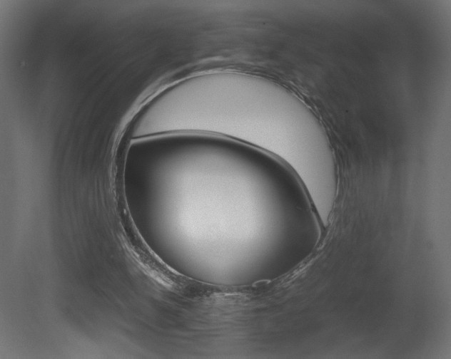 X0000081410150200701120927