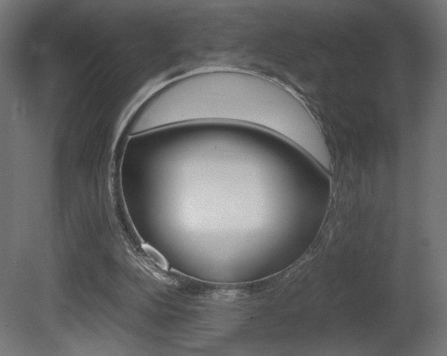 X0000081410152200701120927