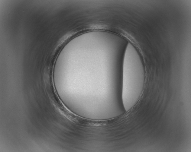 X0000081410155200701120927