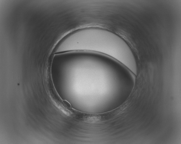 X0000081410156200701120927