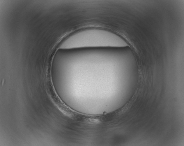 X0000081410159200701120927
