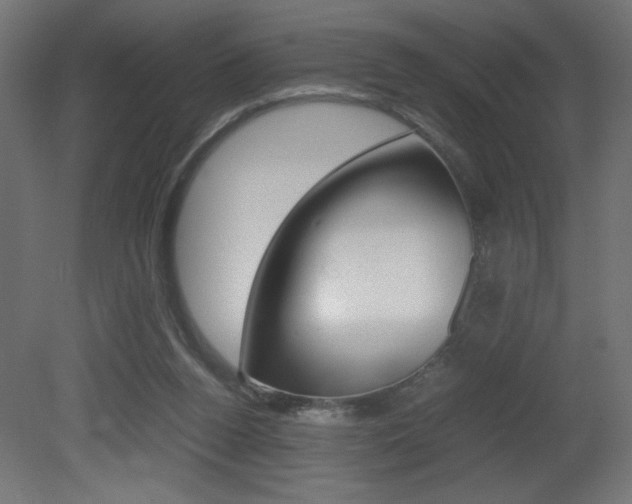 X0000081410160200701120927