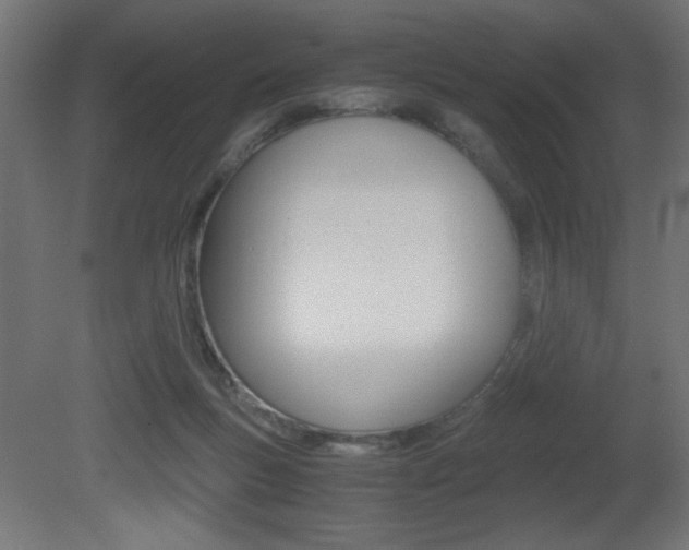 X0000081410167200701120927
