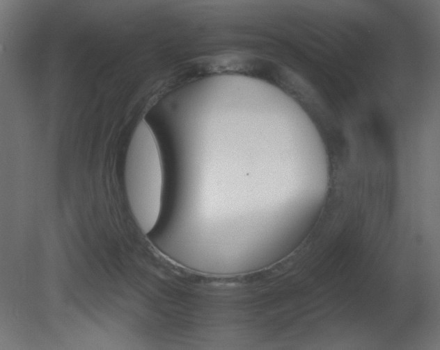 X0000081410169200701120927