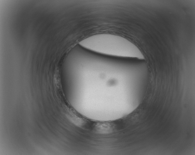 X0000081410181200701120928
