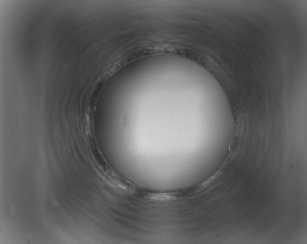 X0000081410183200701120928