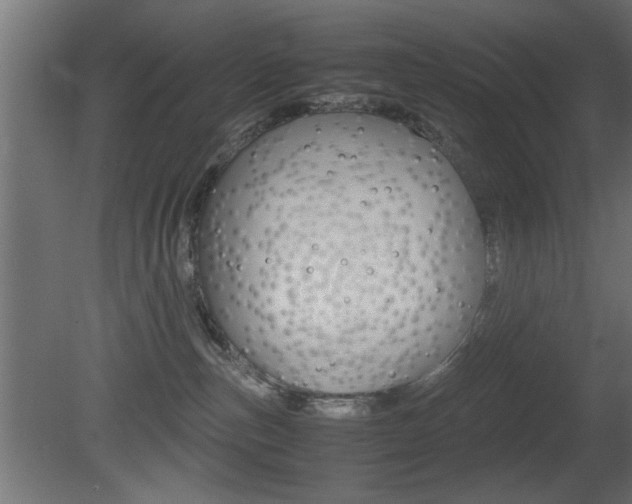 X0000081410187200701120928