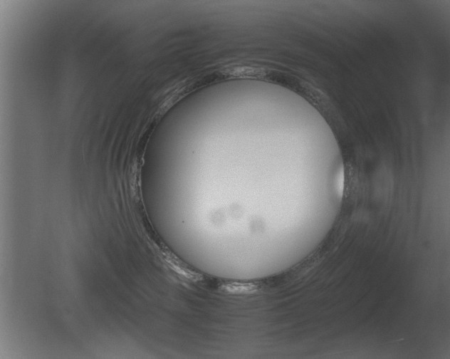 X0000081410189200701120928