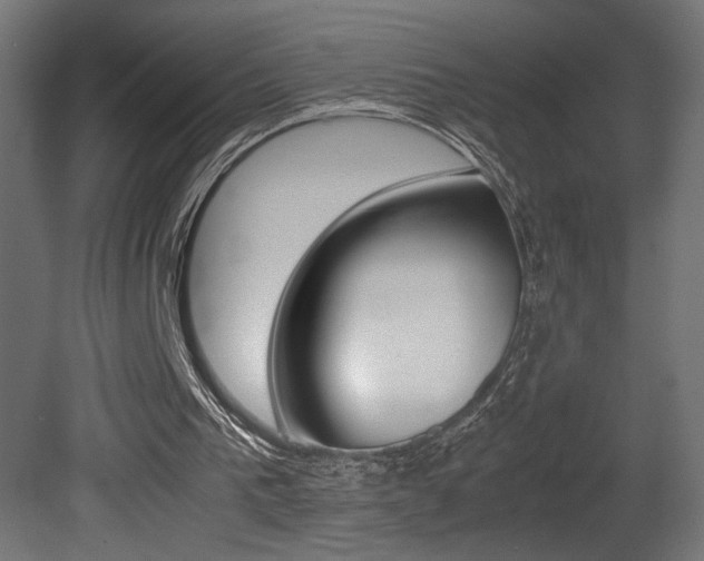 X0000081410193200701120927