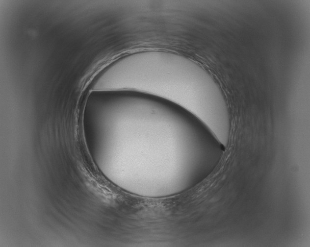 X0000081410194200701120927
