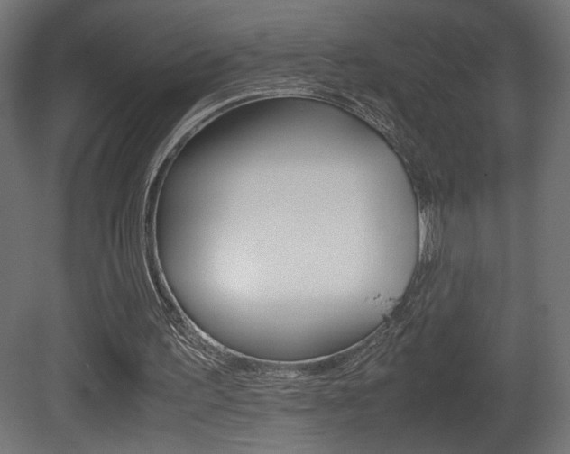 X0000081410195200701120927