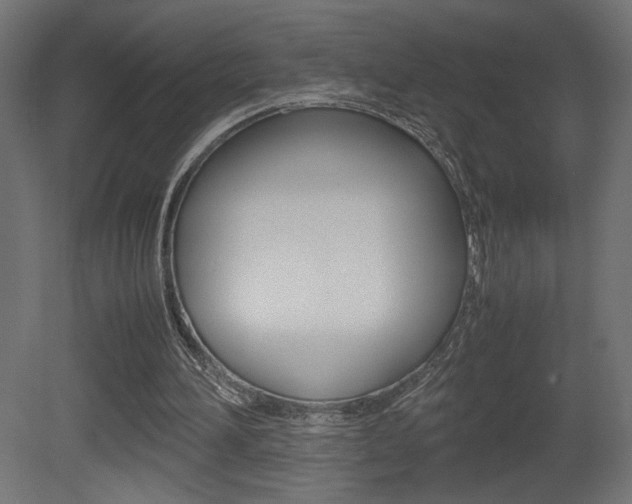 X0000081410196200701120927