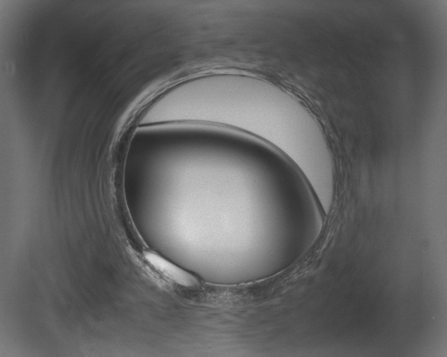 X0000081410197200701120927