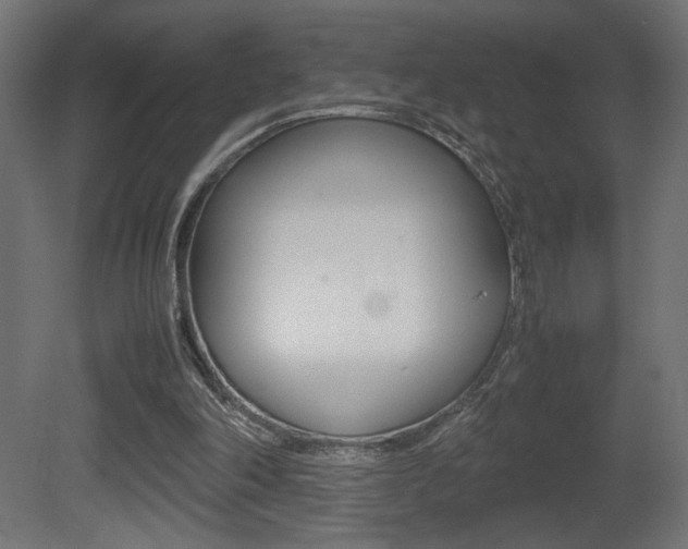 X0000081410198200701120927