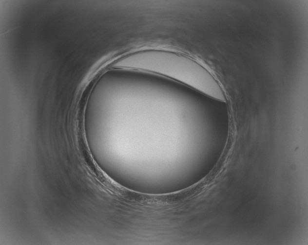 X0000081410199200701120927