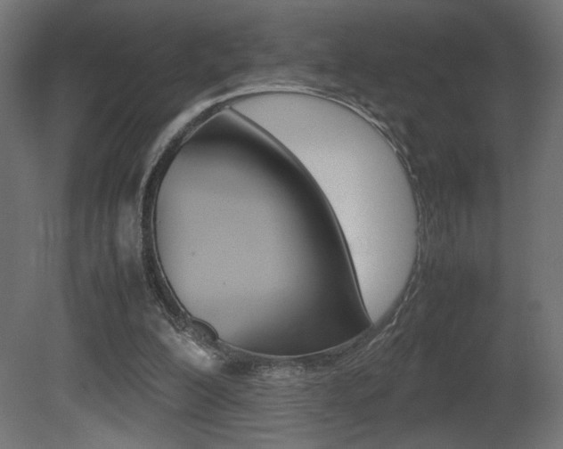 X0000081410200200701120927