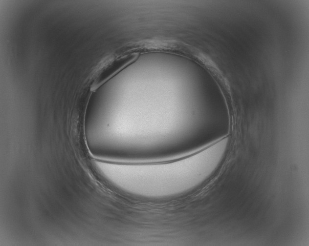 X0000081410201200701120927