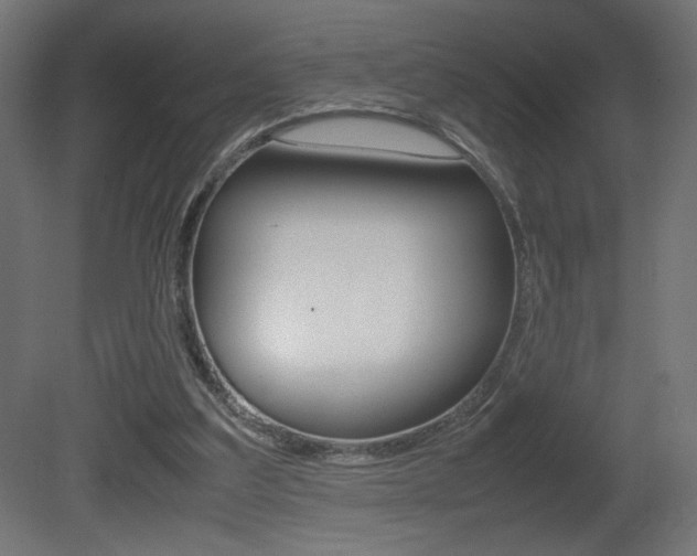 X0000081410203200701120927