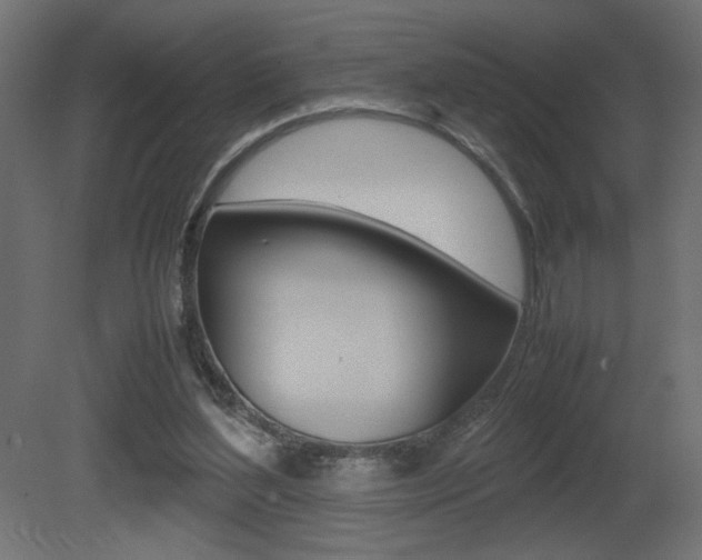 X0000081410204200701120927