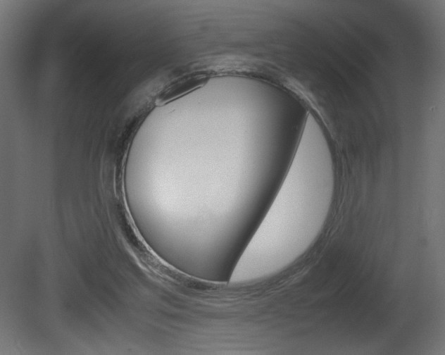 X0000081410205200701120927