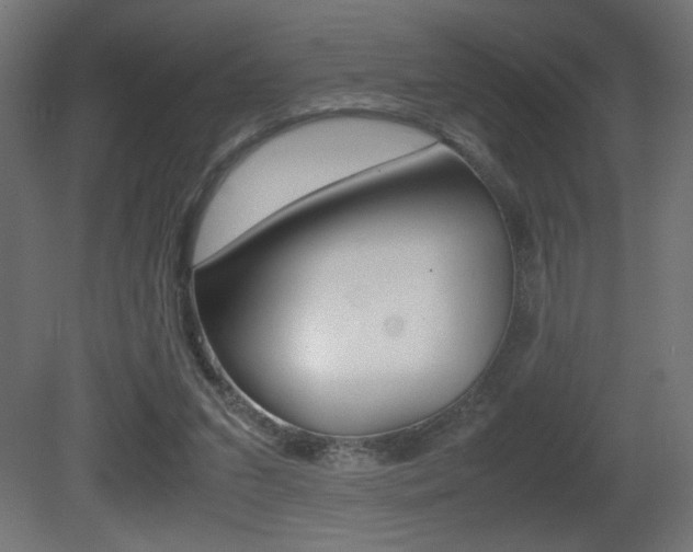 X0000081410207200701120927